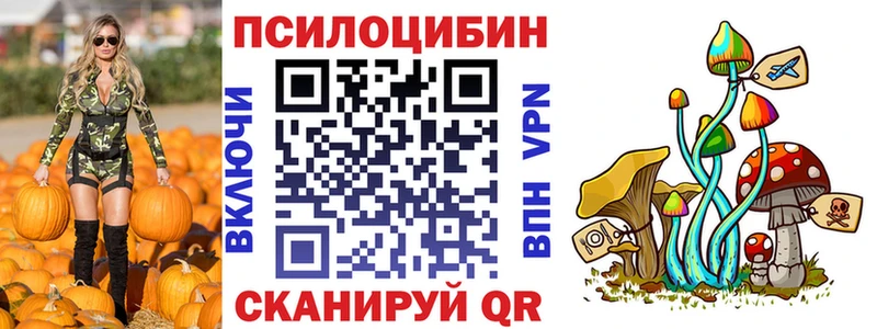 Псилоцибиновые грибы GOLDEN TEACHER  даркнет наркотические препараты  Кинешма 