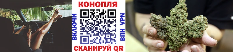 Бошки марихуана индика  купить наркоту  Кинешма 